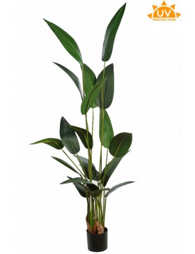 PLANTA ESTERLICIA ARTIFICIAL 180CM