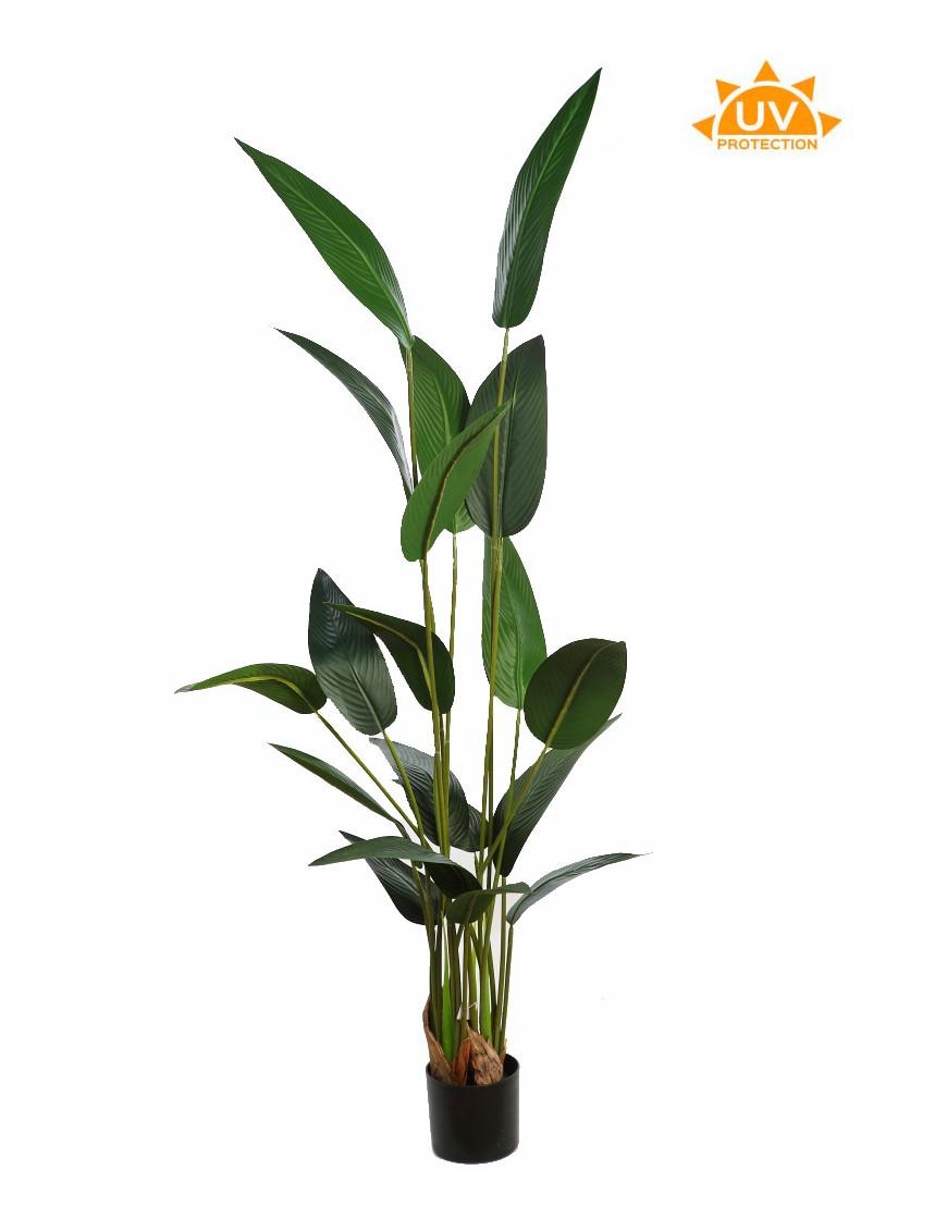 PLANTA ESTERLICIA ARTIFICIAL 180CM