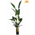 PLANTA ESTERLICIA ARTIFICIAL 180CM