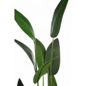 PLANTA ESTERLICIA ARTIFICIAL 180CM