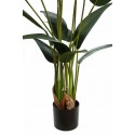 PLANTA ESTERLICIA ARTIFICIAL 180CM