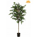 ARBOL FICUS ARTIFICIAL 160CM