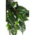 ARBOL FICUS ARTIFICIAL 160CM