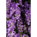 ARBOL DE WISTERIA ARTIFICIAL 300CM