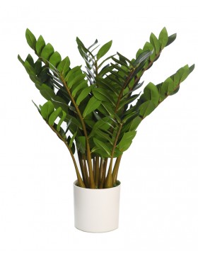 ZAMIOCULCAS ARTIFICIAL EN MACETA 65CM