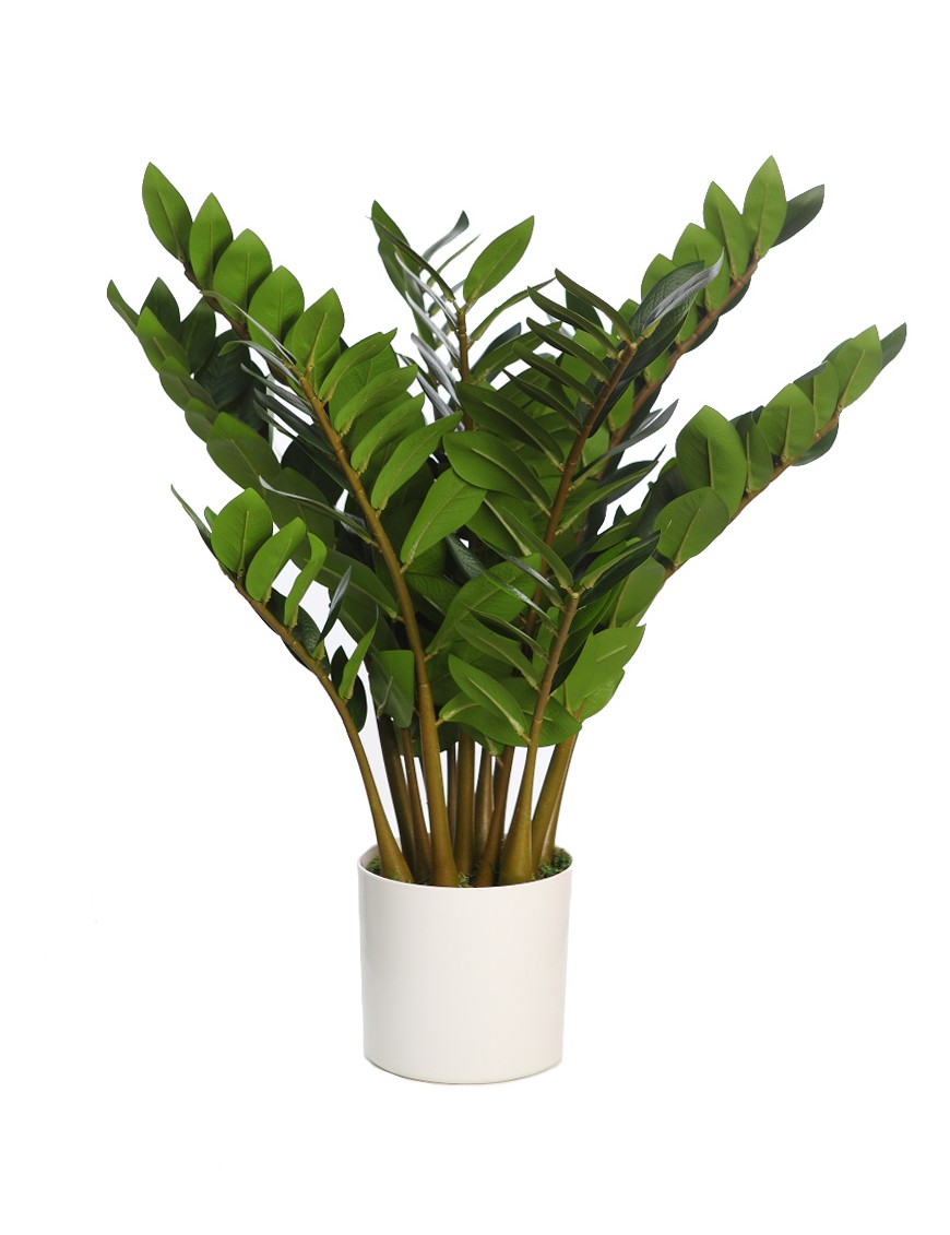 ZAMIOCULCAS ARTIFICIAL EN MACETA 65CM