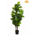 ARBOL DE FICUS LYRATA ARTIFICIAL 145CM