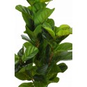 FICUS LYRATA ARTIFICIAL 120CM