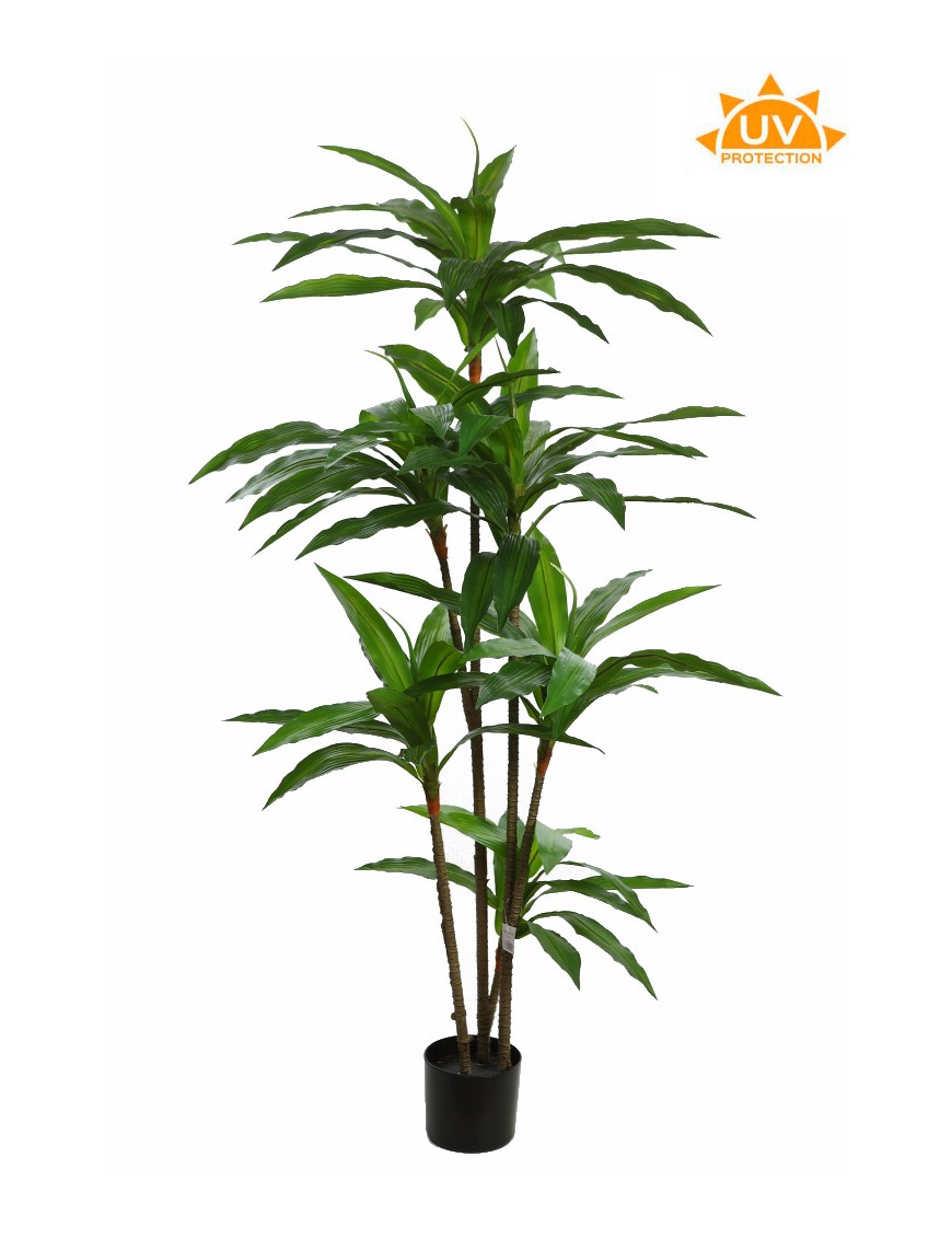 DRACENA ARTIFICIAL 145CM