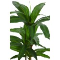 DRACENA ARTIFICIAL EN MACETA 85CM