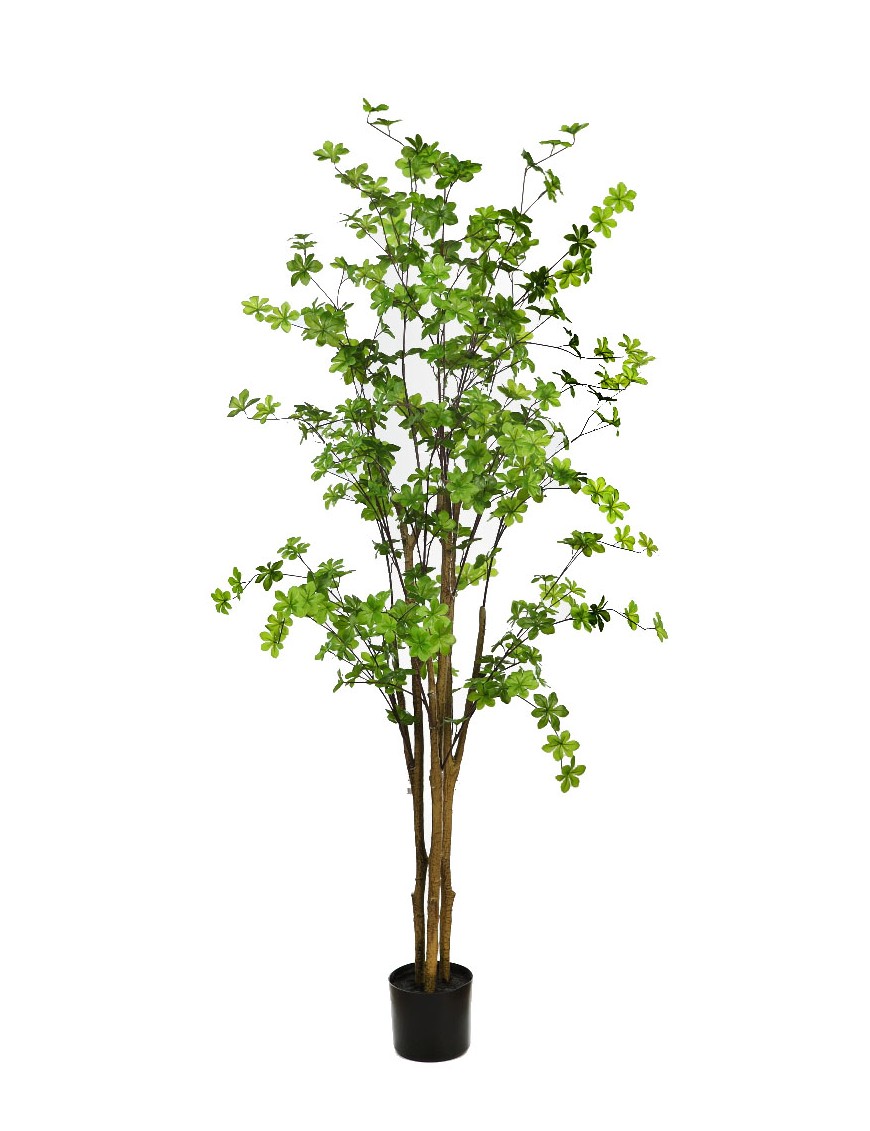 ENKIANTHUS ARTIFICIAL CON MACETA 180CM