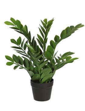ZAMIOCULCAS ARTIFICIAL EN MACETA 52CM