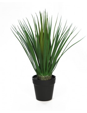 DRACENA ARTIFICIAL 50CM