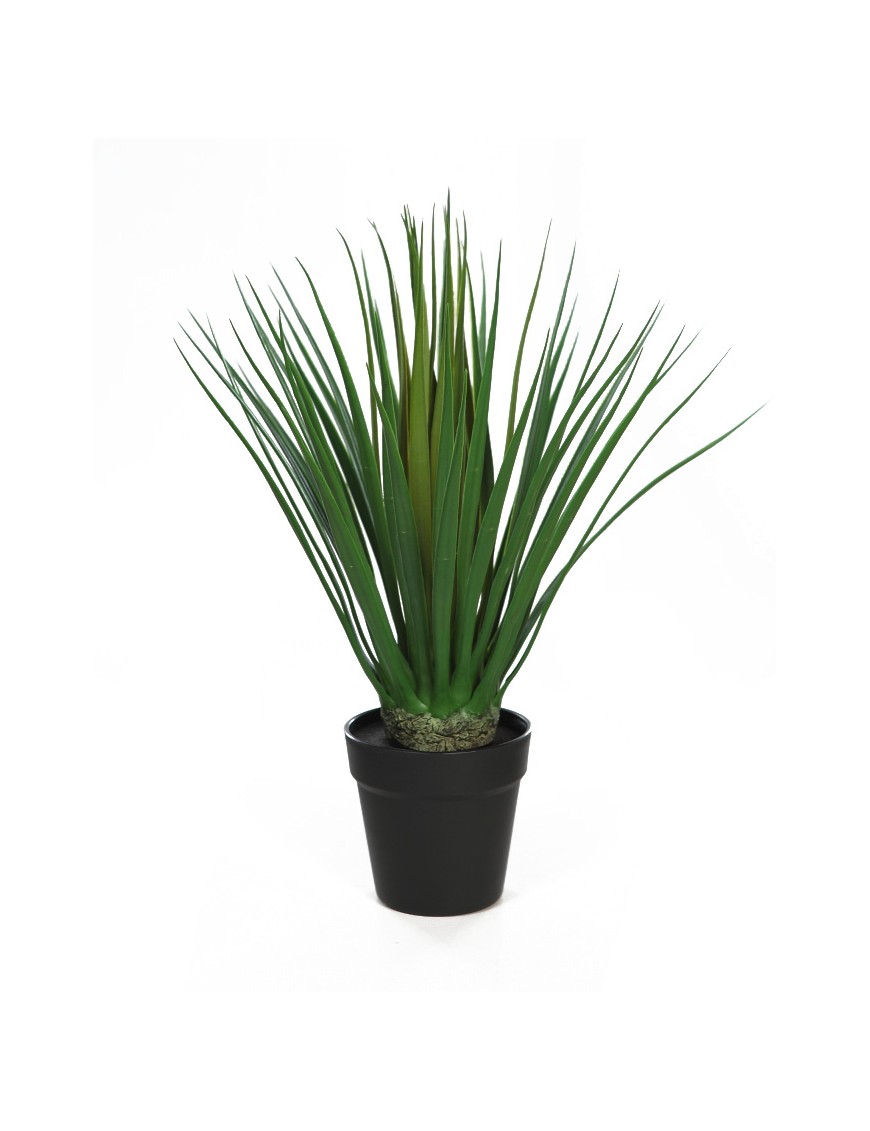 DRACENA ARTIFICIAL 50CM