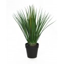 DRACENA ARTIFICIAL 50CM