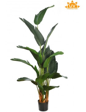 PLATANERA ARTIFICIAL 180CM