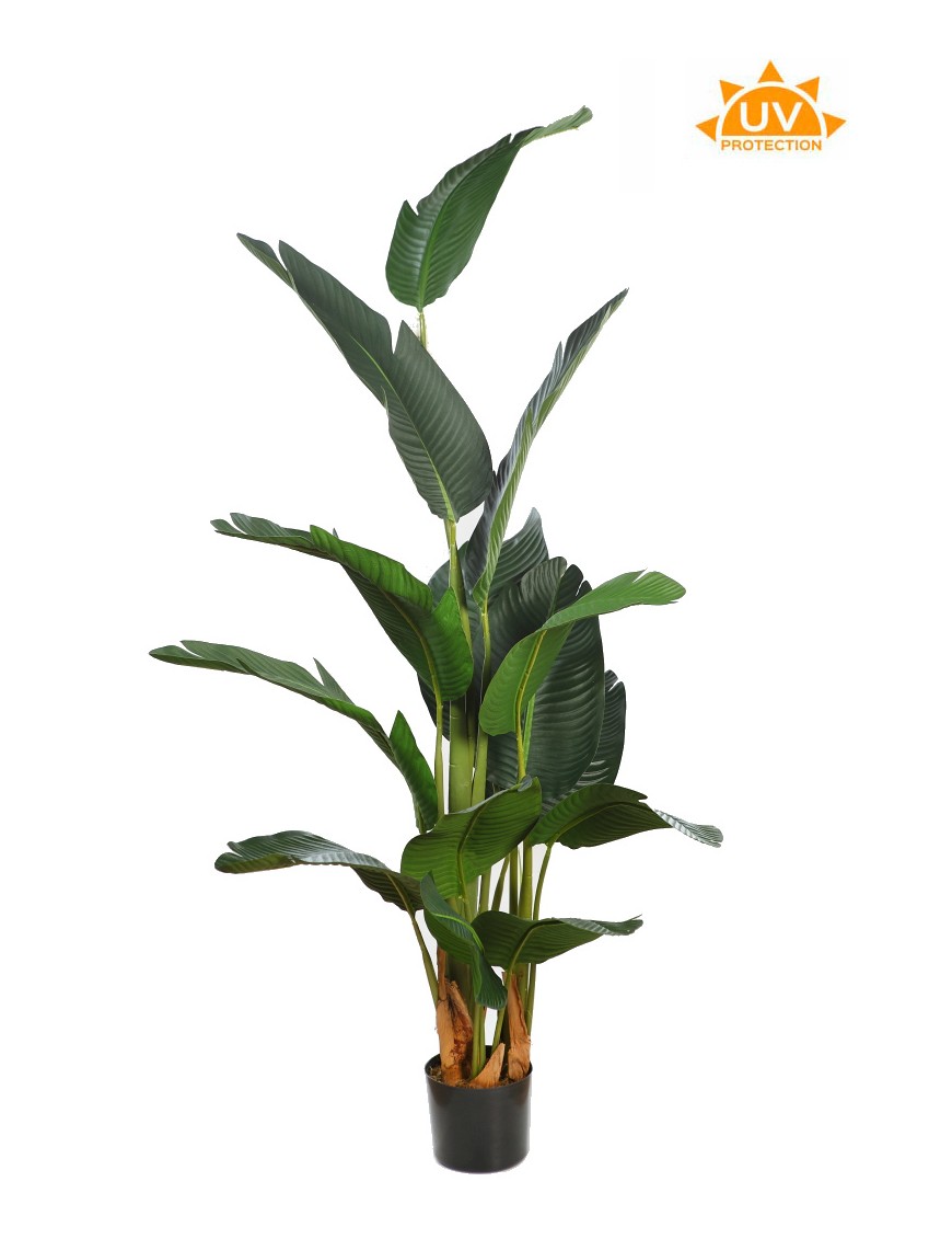 PLATANERA ARTIFICIAL 180CM