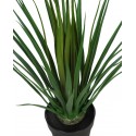 DRACENA ARTIFICIAL 50CM