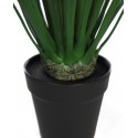 DRACENA ARTIFICIAL 50CM