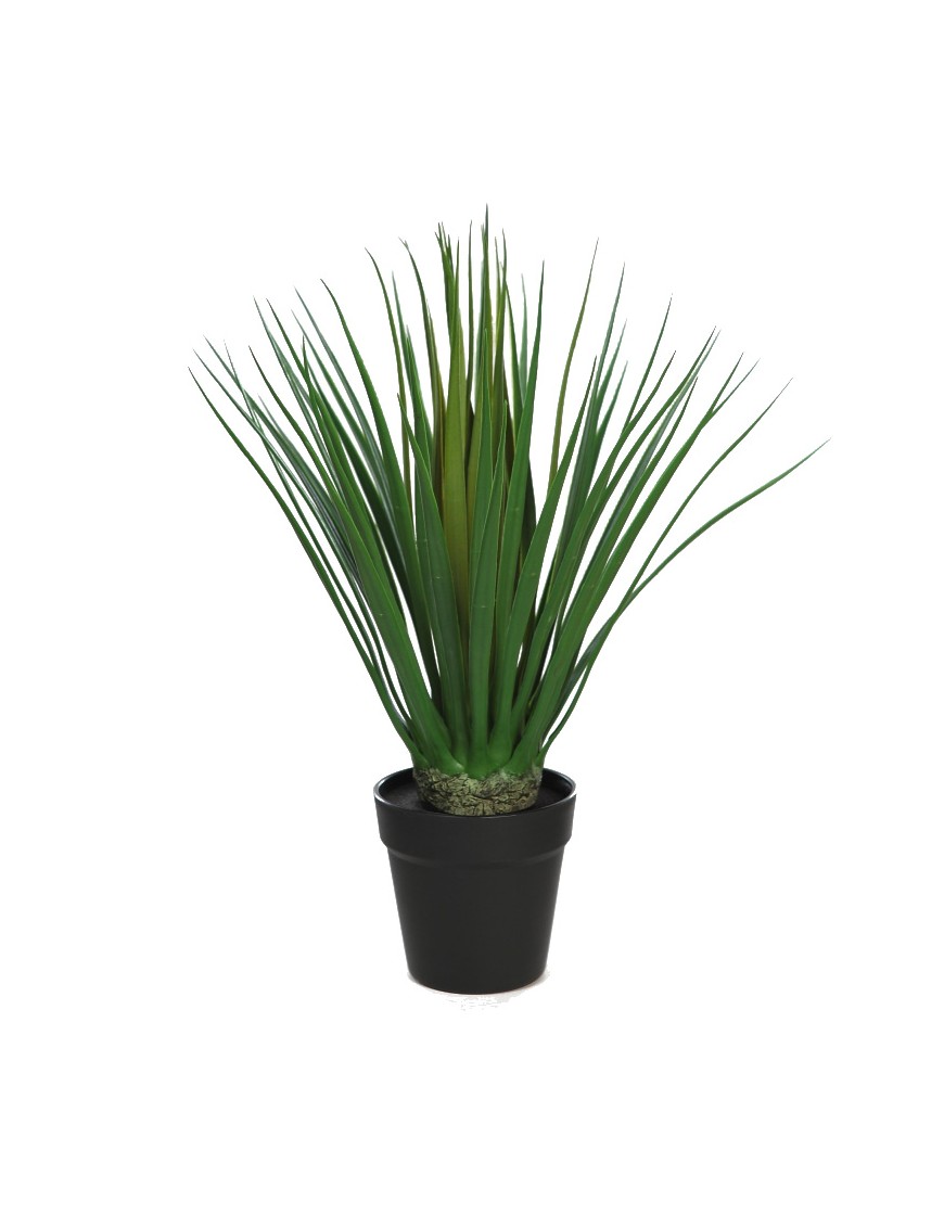 DRACENA ARTIFICIAL 50CM