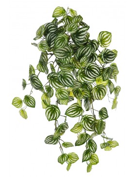 PEPEROMIA BICOLOR ARTIFICIAL COLGANTE 75CM TACTO NATURAL