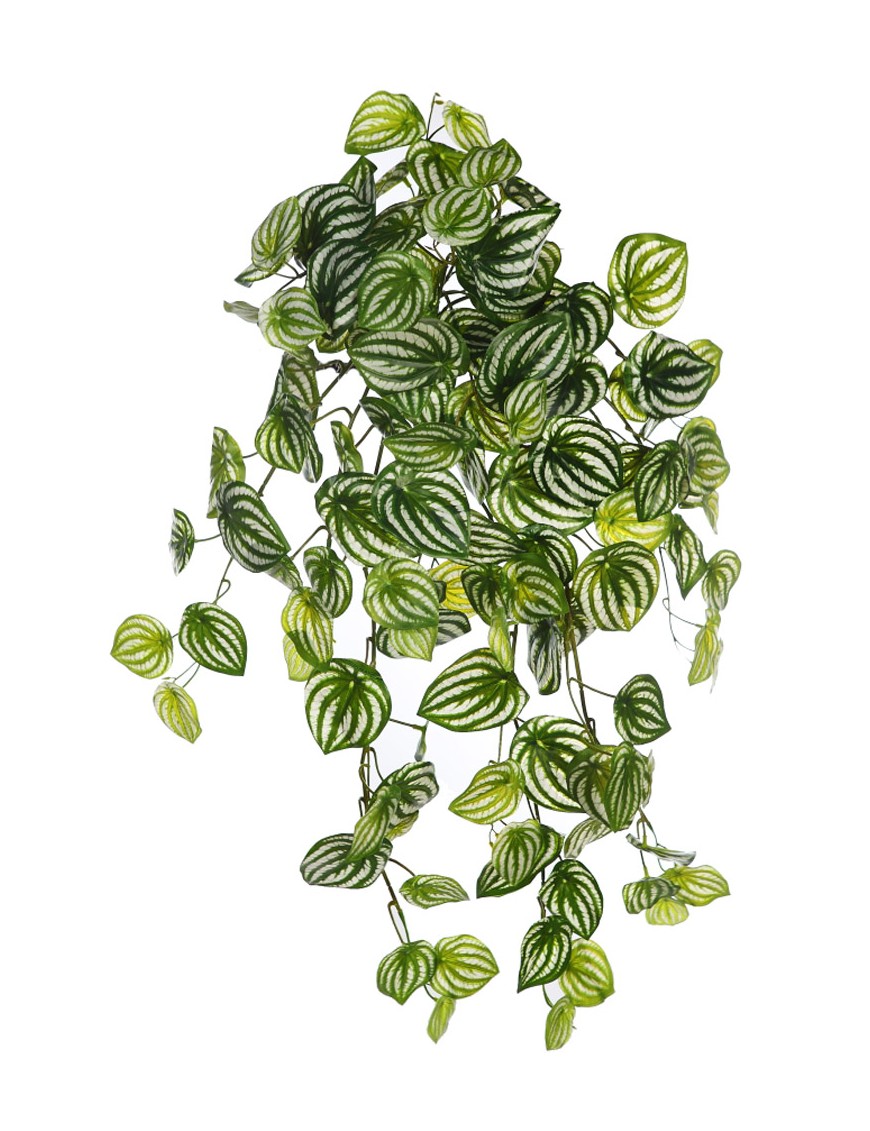 PEPEROMIA BICOLOR ARTIFICIAL COLGANTE 75CM TACTO NATURAL