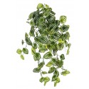 PEPEROMIA BICOLOR ARTIFICIAL COLGANTE 75CM TACTO NATURAL