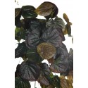 COLGANTE PEPEROMIA ARTIFICIAL 70CM TACTO NATURAL