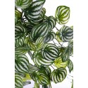 PEPEROMIA BICOLOR ARTIFICIAL COLGANTE 75CM TACTO NATURAL