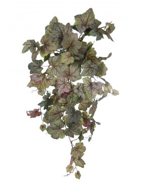 BEGONIA SAXIFRAGA COLGANTE 68CM