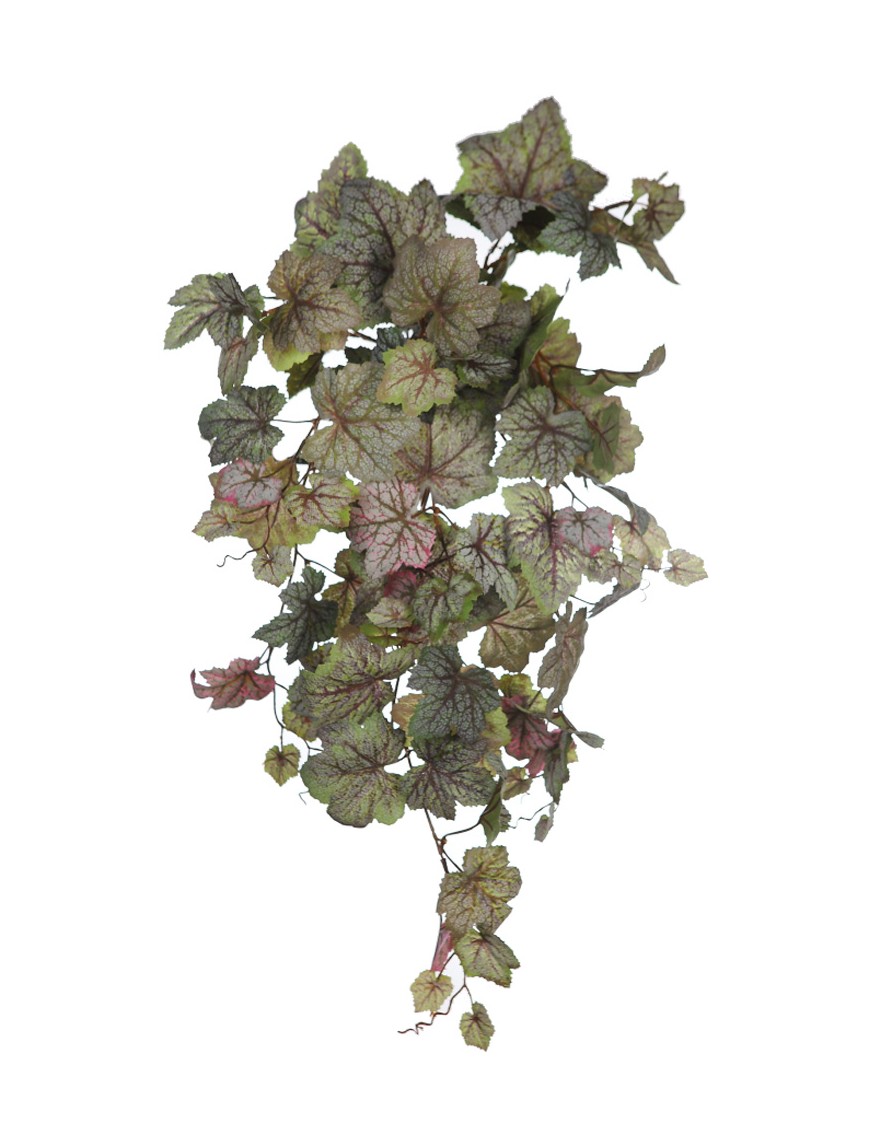 BEGONIA SAXIFRAGA COLGANTE 68CM