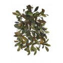 ENREDADERA LAUREL ARTIFICIAL 60CM