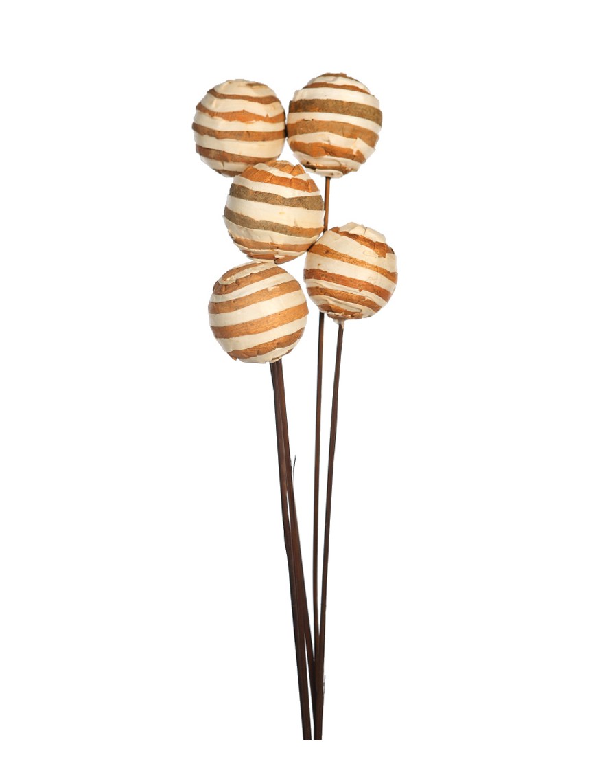 SOLA ZEBRA/GLOBE ON STEM 5 PCS 75CM