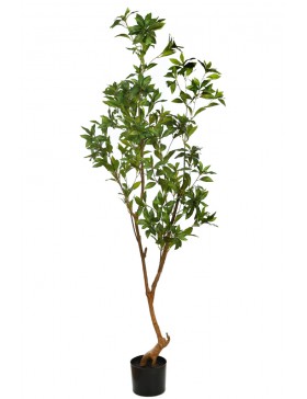 ARBOL SCHEFFLERA ARTIFICIAL 180CM