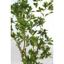 ARBOL SCHEFFLERA ARTIFICIAL 180CM