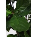 FICUS LYRATA ARTIFICIAL EN MACETA 190CM
