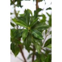 SCHEFFLERA EN MACETA ARTIFICIAL 195CM