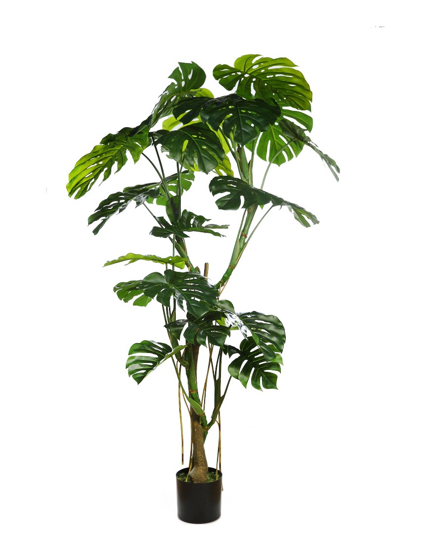 MONSTERA ARTIFICIAL 210CM