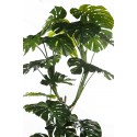 MONSTERA ARTIFICIAL 210CM
