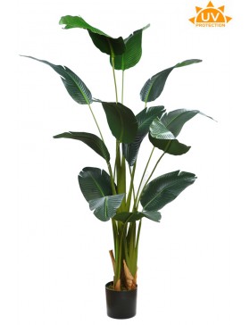 PLATANERA ARTIFICIAL CON MACETA 170CM