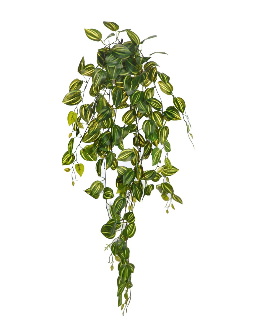 FITONIA COLGANTE ARTIFICIAL 90CM