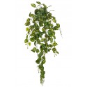 FITONIA COLGANTE ARTIFICIAL 90CM