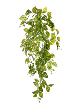 PLANTA FITONIA ARTIFICIAL 90CM