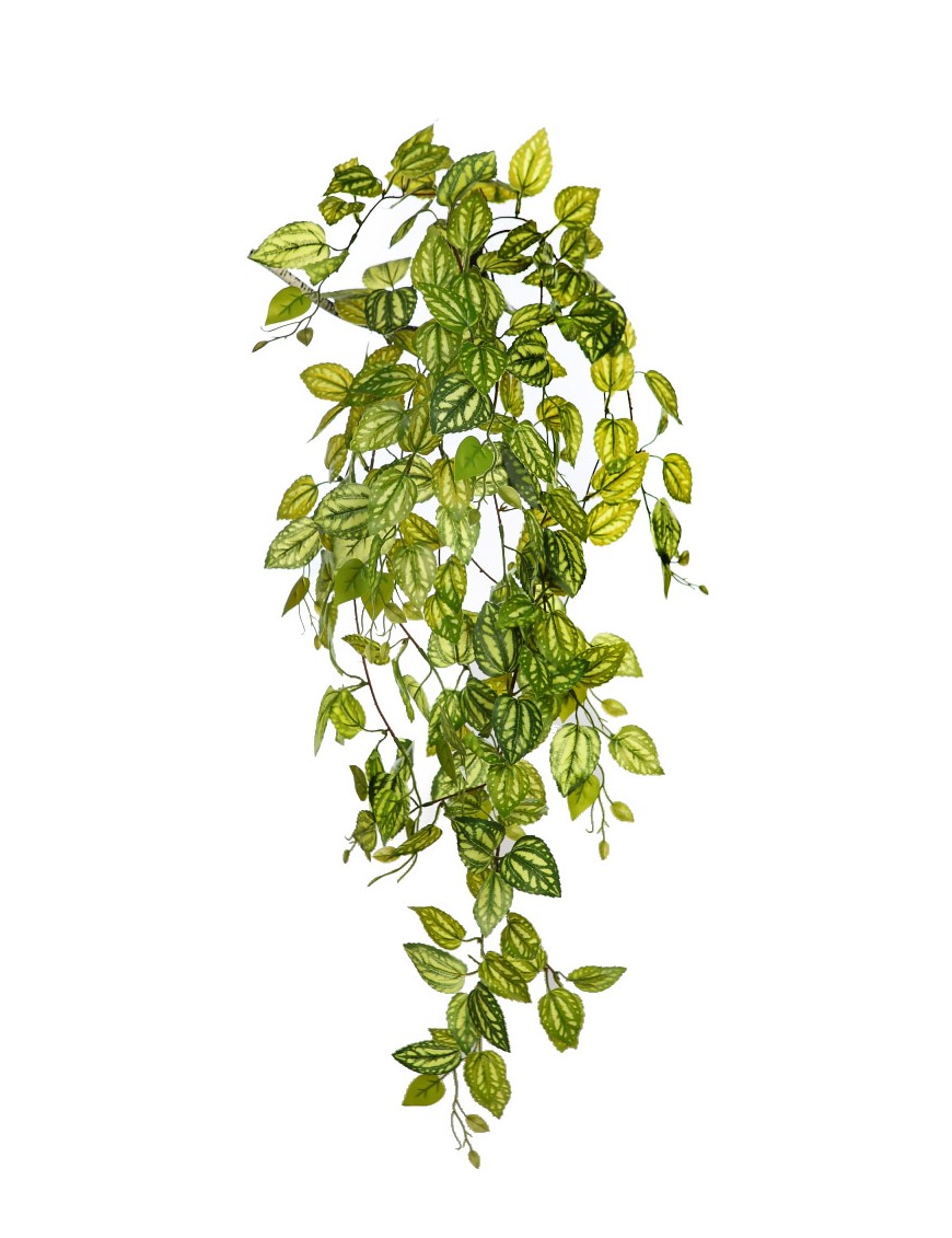 PLANTA FITONIA ARTIFICIAL 90CM