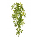 PLANTA FITONIA ARTIFICIAL 90CM