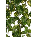 FITONIA COLGANTE ARTIFICIAL 90CM