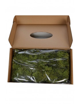 CAJA DE MUSGO FINLANDES PRESERVADO 400GR 