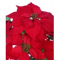 POINSETTIA X5 EN MACETA ARTIFICIAL 40CM