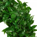 CORONA LAUREL ARTIFICIAL PROTOCOLO 80CM
