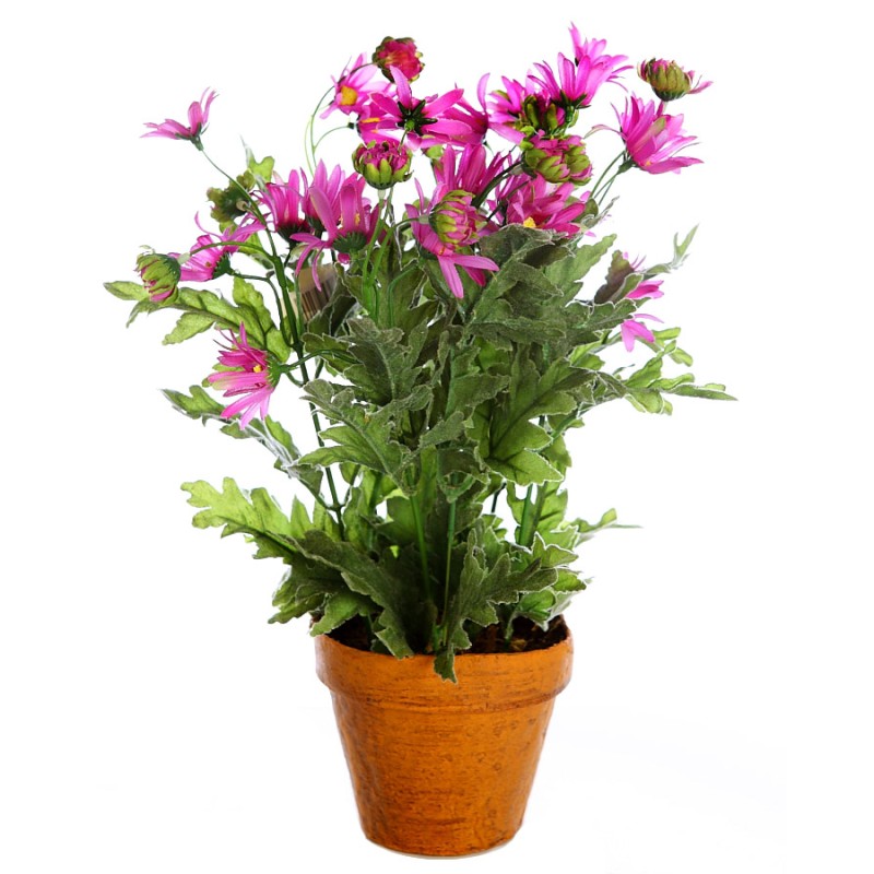 MACETA DE MARGARITAS 30CM